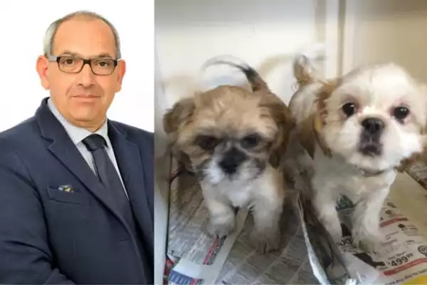 Italian politician resigns for abandoning puppies he found on his doorstep